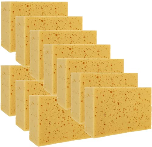 Alfa Auto Waschschwamm 20 Stück besonders saugstarker Allzweckschwamm, lackschonende Autoreinigung Autopflege