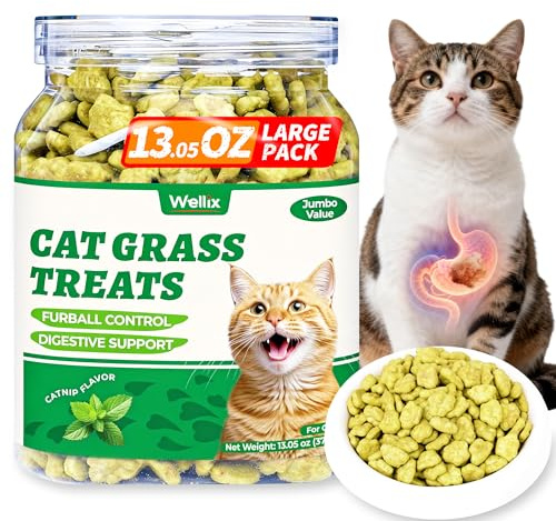 Wellix Cat Grass Treats with Catnip & Salmon - Healthy Cat Treats - 370g