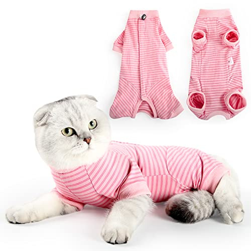 HEYWEAN Combinaison de convalescence pour chat - Body après chirurgie - Rayures à manches longues - Combinaison pour chat - Soins médicaux - Col conique - Alternative aux chemises chirurgicales pour