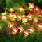 Coquimbo Pilz Lichterkette, Pilze Lampe Pilz Deko Gartendeko 3M 30LED Mushroom Lichterkette Batteriebetrieben für Garten Schlafzimmer DIY Weihnachtsbaum Wohnzimmer Balkon Deko