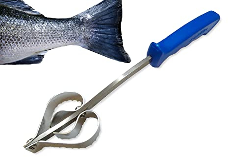 Au Nain - BLEU - Der große Profi-Fischentschupper -Inox