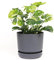 Elly Décor Zylinder-Pflanztopf aus Kunststoff, 20,3 cm, mit selbstbewässerndem Untersetzer und Ablaufloch, leicht und extrem langlebig, 20,3 x 20,3 cm, Grau