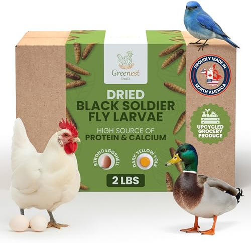Greenest treats Black Soldier Fly Larvae for Chickens & Ducks – 2lb Dried Worms & Grubs – High Protein & Calcium Mealworms Alternative – Dried Black Fly Larvae – Non-GMO, Farmed in North America