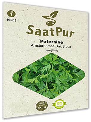 SaatPur Petersilie Samen, Saatgut für ca. 300 Pflanzen Glatte einfache Schnitt Peterle Glatte Peterslilie