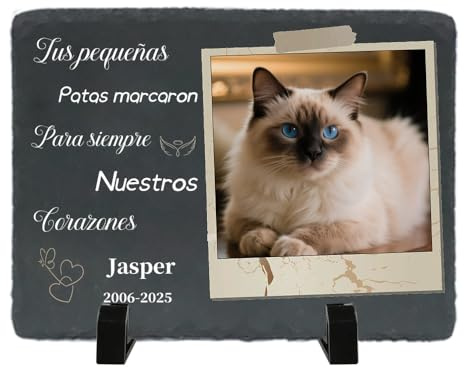 Umitive Targa Commemorativa per Gatti con Foto - Pietra Tombale Personalizzata, Regalo di Condoglianze per la Perdita del Tuo Animale, Decorazione da Giardino (Style M)