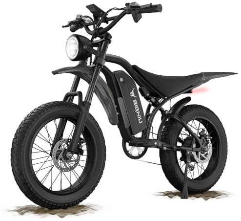 BIGNIU Electric Bike for Adults – 20 Fat Tire, Peak 1200W Motor, 48V 15A Battery, 7-Speed, Dual Disc Brakes for Off-Road and City Riding Electric Dirt Bike Ebike BG-S UL&GCC Certification