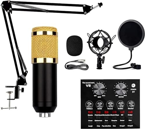 ELzEy Comoda attrezzatura for microfono for karaoke, microfono for registrazione di canto, set di microfoni