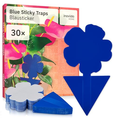 Blautafeln Thripse Bekämpfung: 30 Blautafeln gegen Thripse ohne Insektizid – Klebefalle für Zimmerpflanzen Schädlingsbekämpfung – Mit Blausticker Thripse bekämpfen – Fliegenfalle Klebefalle – Inovida