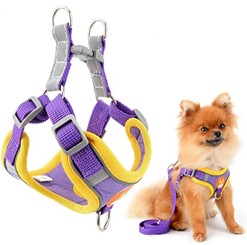 SMALLLEE_LUCKY_STORE Wildleder-Hundegeschirr und Leine, für kleine, mittelgroße Hunde, Katzen, Vorderclip, kein Ziehen, reflektierend, weich gepolstert, verstellbar, für Spaziergänge, Violett, M