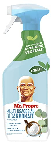 Mr. Propre 8001090860439