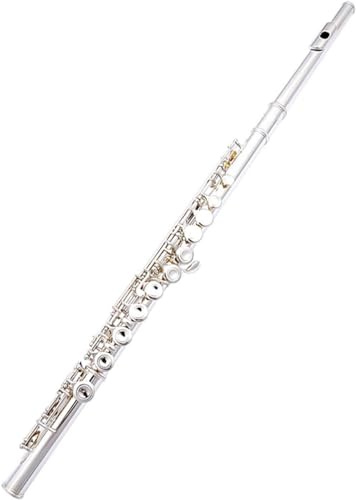 LABLADUO Flöjt, flöjter musikinstrument nybörjare student silverpläterad flöjt 16 hål stängt hål med nyckel E C nyckel flöjtinstrument