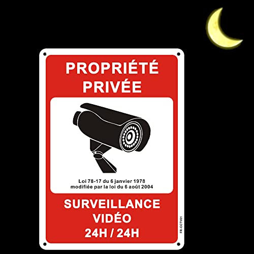 Panneau Propriété Privée sous Vidéo Surveillance en Aluminium - Réfléchissant 250x180mm - Métal Etanche UV Résistant