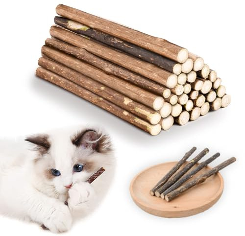 Lot de 30 bâtons de soin dentaire naturel en bois Matataki avec arôme de menthe pour chat - Jouet à mâcher contre le tartre et le nettoyage des dents - Friandises à mâcher biologiques pour chats