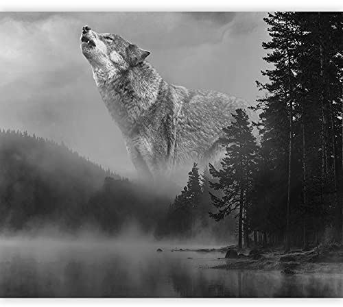 murando - Vlies Fototapete Wald 350x256cm - Foto Tapete Schlafzimmer Wohnzimmer Vliestapete XXL Wandtapete Motivtapeten Bildtapete 3d Effekt Wand Dekoration - Nebel Wolf schwarz weiß c-C-0475-a-a