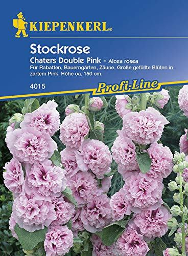 Kiepenkerl 4015 Stockrose Chaters Double Pink (Stockrosensamen)