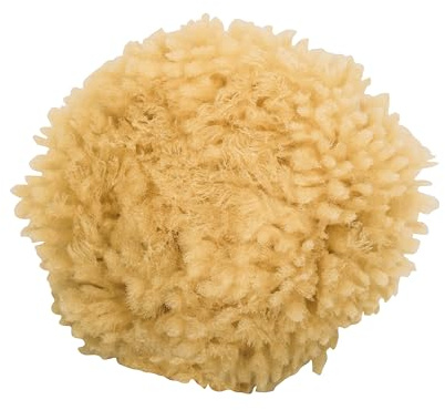 Niyok® Spugna Naturale • Spugna da Bagno Naturale • Spugna per il Corpo per Doccia e Bagno • Senza Plastica e Biodegradabile • Spugna Naturale