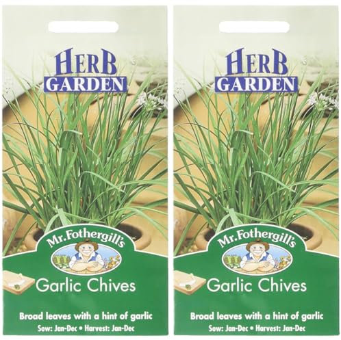 Mr Fothergill's 10464 Herb Seeds, Garlic Chives, Cream (Pack of 2)