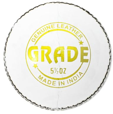 DSC Balle de Cricket en Cuir de Qualité 1500307 (Blanc)