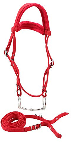 QANYEGN Brida de Caballo Ajustable, riendas de Brida de Caballo Rojo, Filete extraíble con cojín Suave para Accesorios ecuestres de Caballos