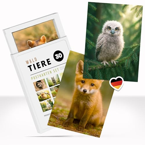 Einladungskarten Manufaktur Hamburg Postkarten Set Wald-Tiere - 30 niedliche Tierpostkarten mit Tieren in der Natur für Büro, Freunde, Kinder, als Deko oder Geschenk mit praktischer Box