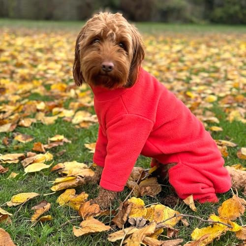 pet wiz Warm Four-Legged Dog Fleece – Super Soft, Weather-Resistant, Available in a Range of Sizes and Colours (Coral, Small)