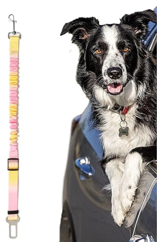 Hundbilbälte,Avtagbart Hundbälte För Bil | Justerbart Elastiskt Stötdämpande Bälte Med Spänne För Små MedelHundar