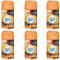 Fresh & More Lufterfrischer Nachfüller (6er Pack) Anti Tabak & Orange, 250ml