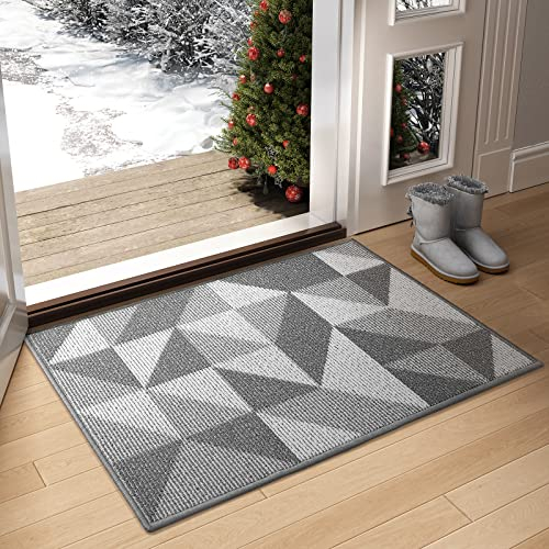 Color G Felpudo de Entrada, Alfombrilla Antideslizante, Alfombra Exterior, Lavable a Máquina para Interior, Exterior, Patio, Cocina, Pasillo, Puerta Trasera Delantera, 50 x 80 cm, Gris