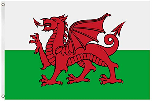 Blackshirt Company Wales Fahne Walisische National Länder Flagge mit Ösen 150 x 90 cm Farbe Mehrfarbig