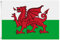 Blackshirt Company Wales Fahne Walisische National Länder Flagge mit Ösen 150 x 90 cm Farbe Mehrfarbig