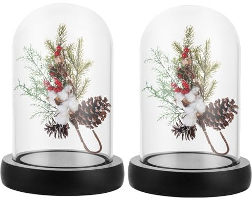 APACALI 2 Stück Glasglocke mit Holzboden, 11cm Dekorative Glashaube, Transparent Glasglocke, Glashaube Glasbox Glas, Glass Dome Cloche mit Boden für Lichter, Deko, Wohnaccessoire