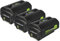 vhbw 3X Batterie Compatible avec Ryobi 625 CFM, R40402, RBC36X20B, 500 CFM, 40V VAC Attack Leaf Mulcher Outil électrique (5000 mAh, Li-ION, 36 V)