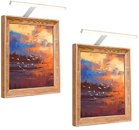 Hudyogy Picture Lights with Timer, Remote Control Lights Rotatable LED Tube, Dimmable Picture Frame Light for Wall, Dartboard Light, Plug in Display Lights for Art Work Gallery Poster 2 Pack