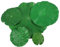 Yardwe 1 Satz Simuliertes Lotusblatt-aquarium Hochzeitsdekoration Kunstpflanze Wasserpflanzen Lotusblatt-ornament Künstliche Blätter Als Teichdekoration Wohndekoration Schaum Green 5st