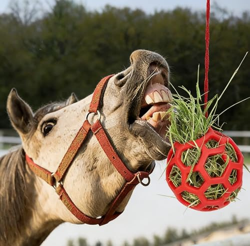 Midnight Suprise Red Horse Hay Feeder Ball – Hanging Treat Toy for Horses, Durable Stretchable TPR Slow Feeder Ball for Stable & Pasture Entertainment