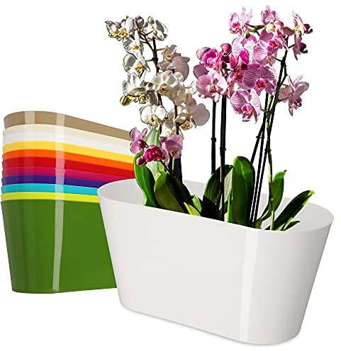 KADAX Maceta de plástico de 27 x 13 cm con forma ovalada para orquídeas, bellis, pensamientos, dracenos (blanco)