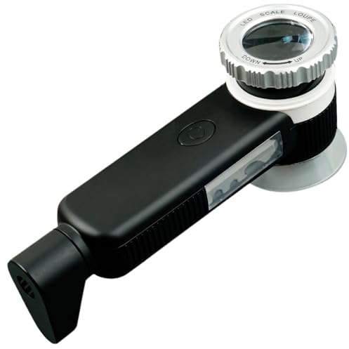 Bärbart 60 x förstoringsglas med dubbla LED-lampor, USB-uppladdningsbar lupp för stämplar, smycken och jadeinspektion
