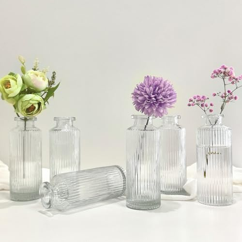 Sahallo kleinen Vasen 6 Stück Vintage mini Glas Vase Set Gestreift 13 cm kleine Glasvase Set Fläschchen modern für Blumen als Tischdekoration Gastgeschenke Hochzeitsdekoration für Event (transparent)