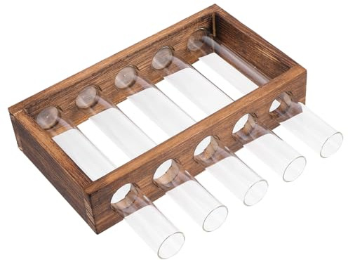 VALICLUD Jarrón Tubo de Ensayo Hidropónico Grande de Vidrio Transparente Soporte de Madera Maceta para Plantas Acuáticas y Jardinera Hidropónica para Decoración de Interior