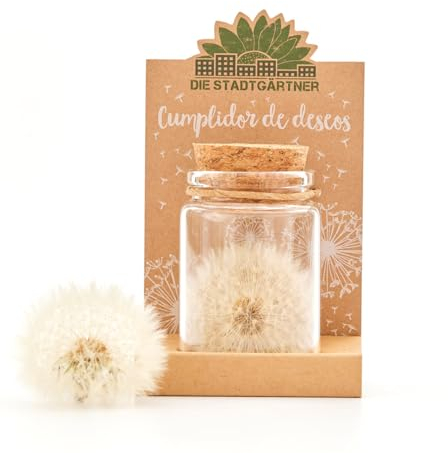 Cumple-Deseos I Verdadero Diente de León en un Frasco I Preservado de Forma Permanente I Regalo Creativo para Cualquier Ocasión I Regalo para Cumpleaños, Boda, Día de la Madre, Pascua, etc. …