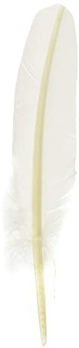 Herbin 23301ST - Pluma de ganso tallada 21 cm, color blanco