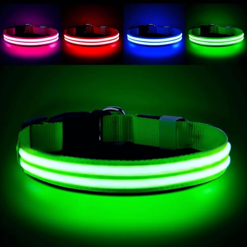 PcEoTllar Light Up Dog Collar - Rechargeable, Waterproof, Adjustable LED Collar for Night - Flashing, Glowing for Small Medium Large Dogs - Green-M