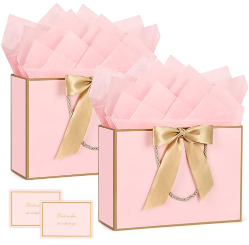 BBILKE Sacchetti Regalo Medie - 2 Sacchettini Borsa Regali Compleanno in Carta con 2 Carte, Buste Regalo Grandi Elegante con Manici per Donne Ragazze San Valentino Festa di Nozze Natale (Rosa Bianco)