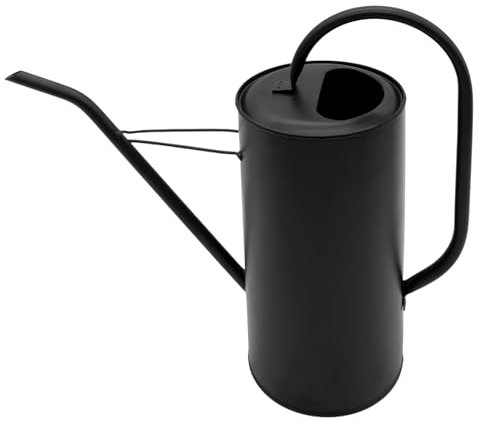 Arrosoir à fleurs en métal noir mat - 3 l - Arrosoir avec long bec - Plante de cannelle - Pour bureau - Élégant