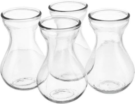 FUTUREORYY 4 pièces Lot de Vases Verre Transparent pour Jacinthe Vase Hydroponique Créatif à Bulbes Décoration Intérieure pour Maison et Bureau