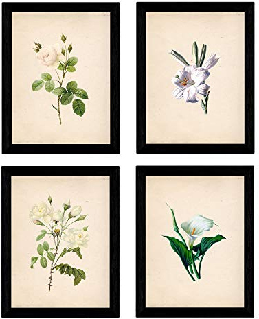 Nacnic - Pack Láminas Flores Blancas Vintage - Pósters Decorativos Estilo Naturaleza, Botánica y Plantas - Decoración Mural Elegante y Delicada