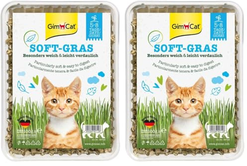 GimCat Soft-Gras - Herbe à Chat Tendre et Riche en vitamines avec Une Pousse Rapide en Seulement 5 à 8 Jours - 1 barquette (1 à 100 g) (Lot de 2)
