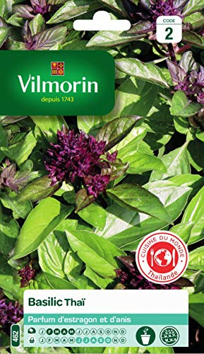 Vilmorin - Basilic Thaï - Parfums mêlés d'estragon et d'anis - Feuilles Vert Olive légèrement violacées - Facile à réussir