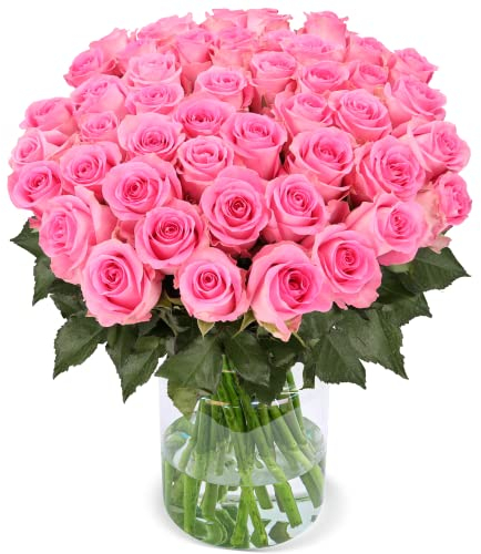 Blume Ideal Rosenstrauß - 40 Rosen in Pink - Ø 40–50 cm - Echte premium Blumen für Hochzeit & Deko - 7 Tage Frischegarantie - in verschiedenen Farben und Mengen