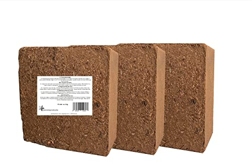 Brique de Fibre de Coco 3X 70 litres, Environ 5kg par Brique, Brique d'humus, Brique de Noix de Coco, terreau sans Tourbe, Soda à la Noix de Coco en Fibre de Coco pressée